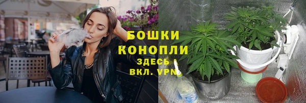 ALPHA-PVP Алексеевка